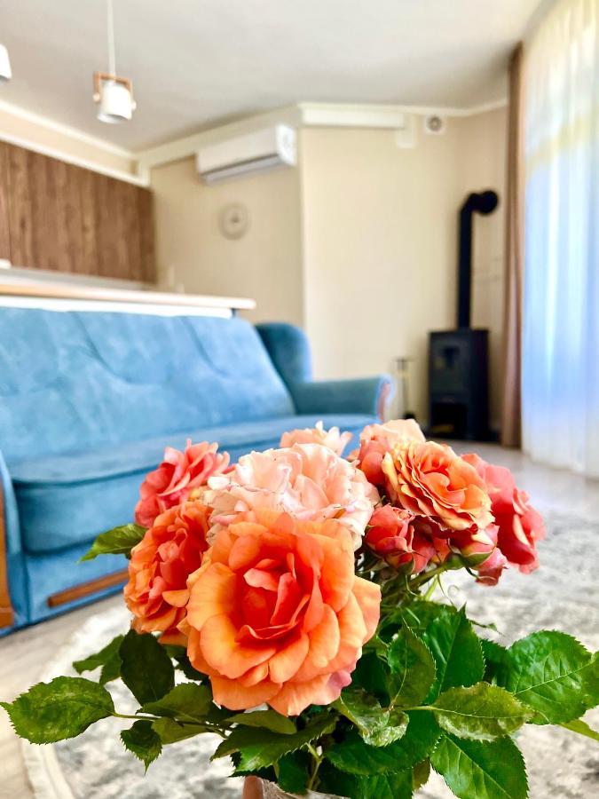 Авіа Lägenhet Uzjhorod Exteriör bild